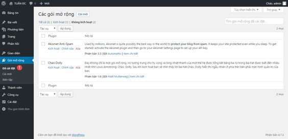 Gói mở rộng hay còn gọi là plugin là phần rất phổ biến trong wordpress
