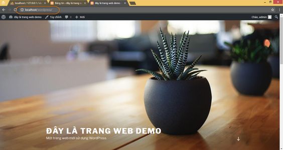 Giao diện mặc định khi bạn cài xong trang web