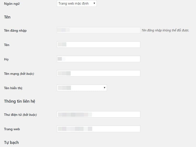 Một số trường mặc định của WordPress