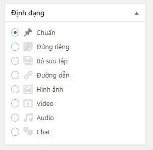 Khung định dạng "Post Formats" xuất hiện trong bài viết khi thêm