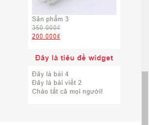 Kết quả hiển thị widget