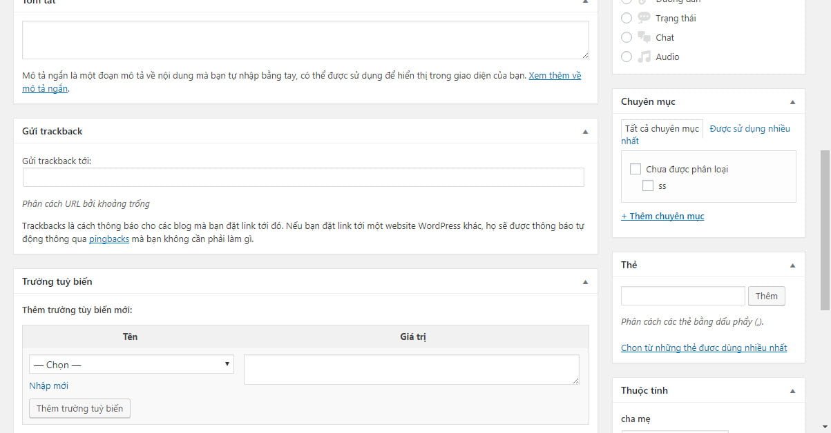 Phần biên tập nội dung của custom post type mới (2)