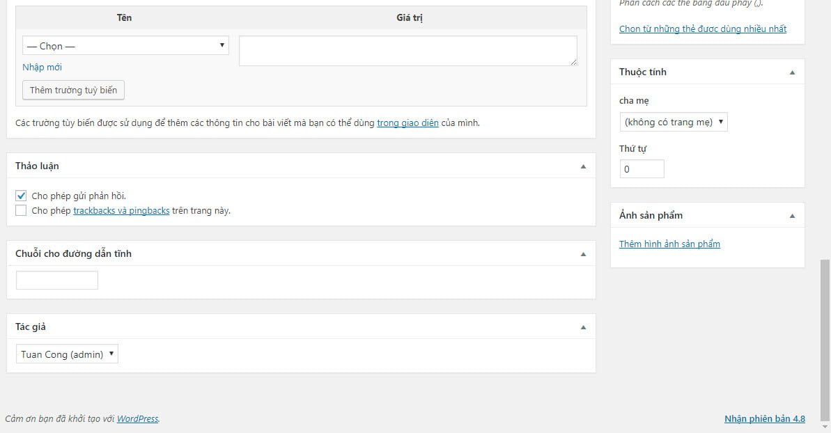 Phần biên tập nội dung của custom post type mới (3)