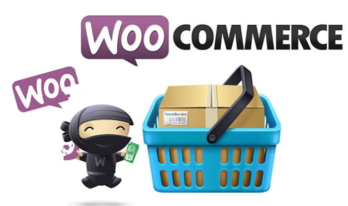 Hướng dẫn viết themes bán hàng bằng WordPress sử dụng Woocommerce