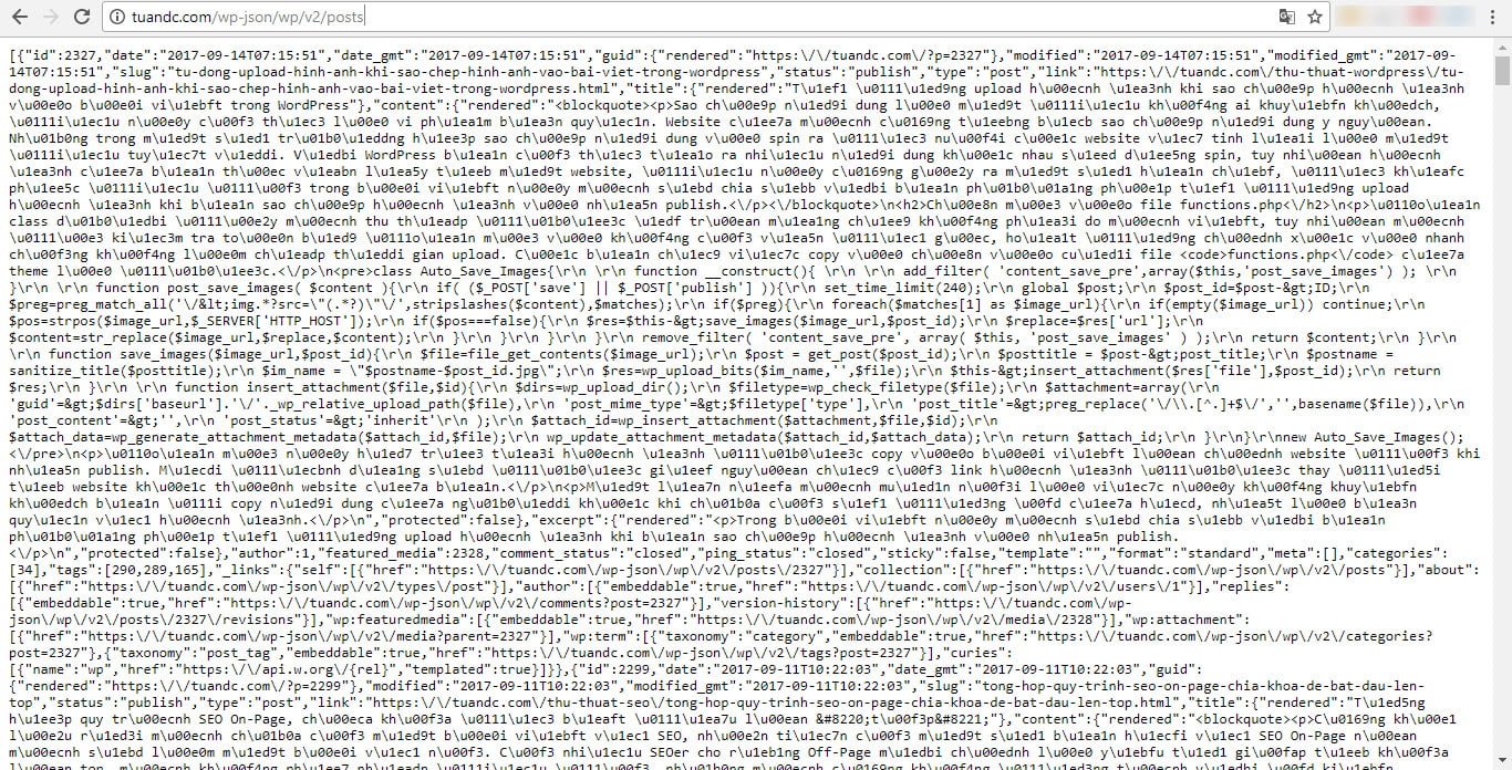 Một kết quả Json từ REST API