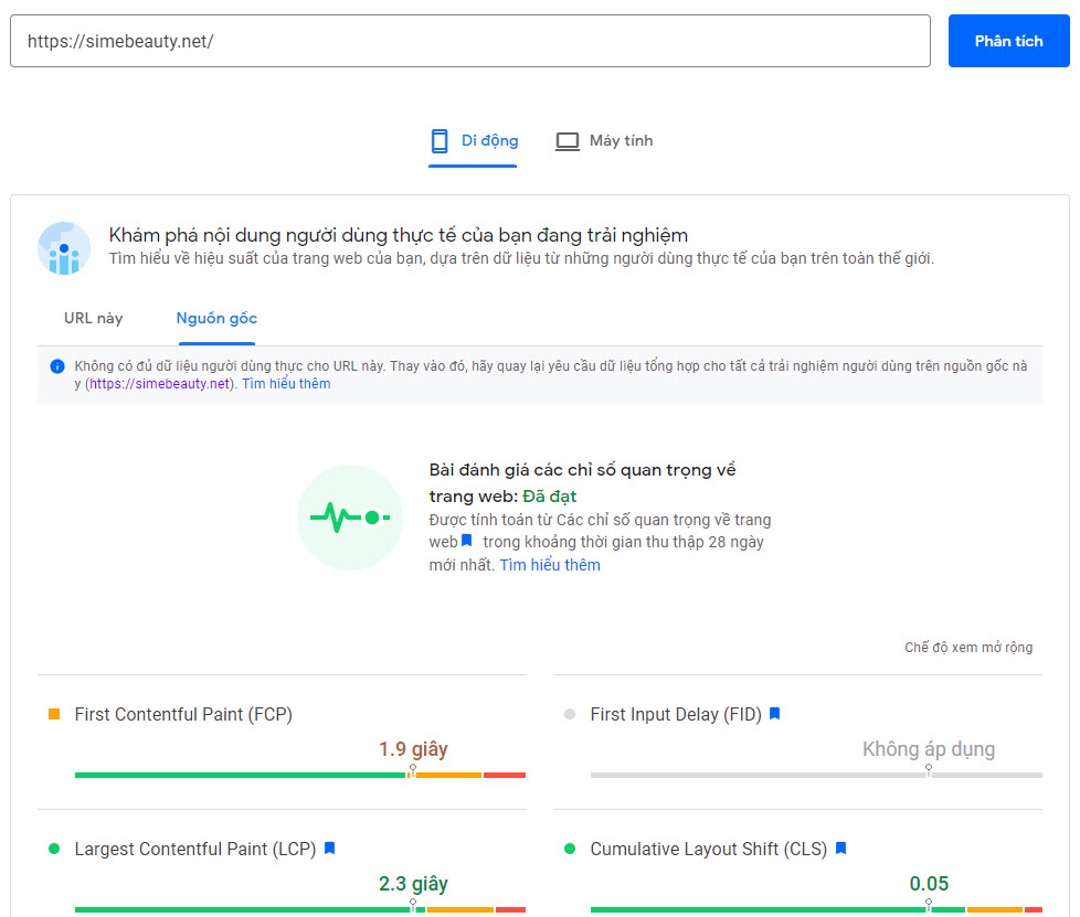 Kết quả test trên PageSpeed Insignts của Google