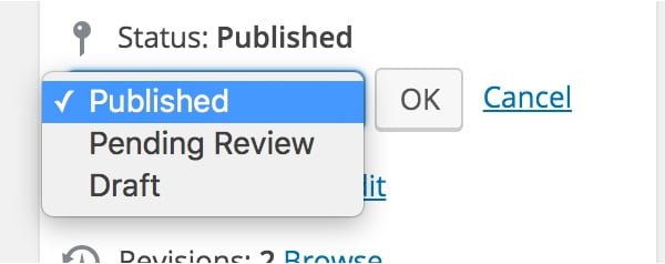Tạo thêm trạng thái bài viết trong WordPress không dùng Plugin